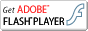iʃEChEJ܂jFlash® Player